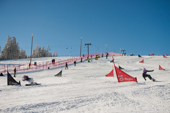 Rogla